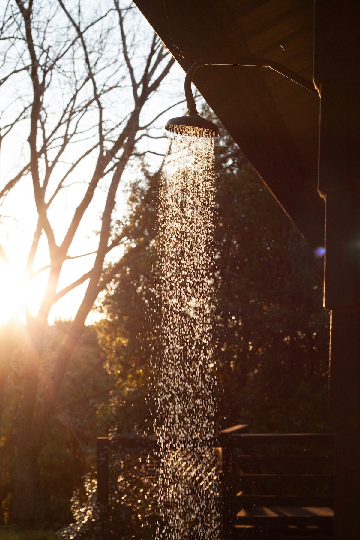 Outdoor shower in golden afternoon light surrounded by greenery